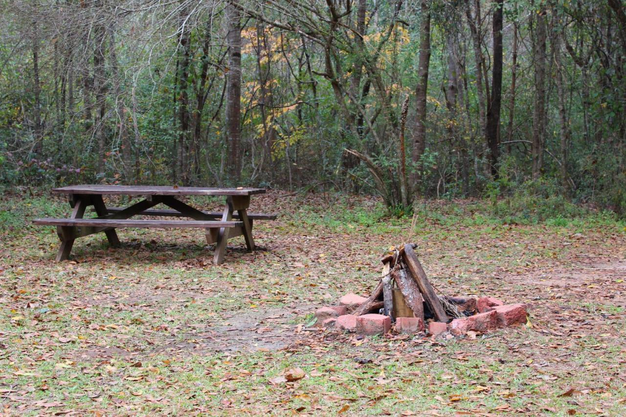 Berry Creek Cabins Bed and Breakfast Isabel Exteriör bild