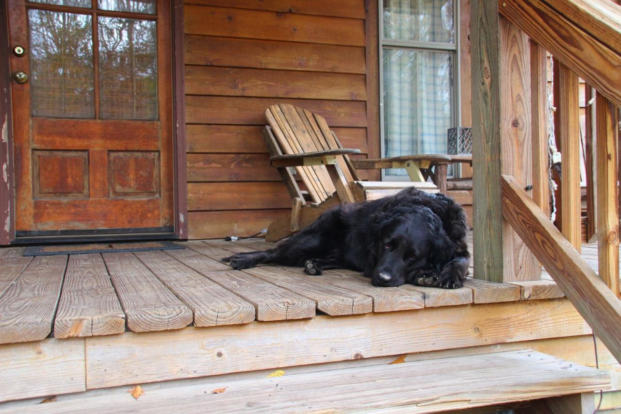 Berry Creek Cabins Bed and Breakfast Isabel Exteriör bild